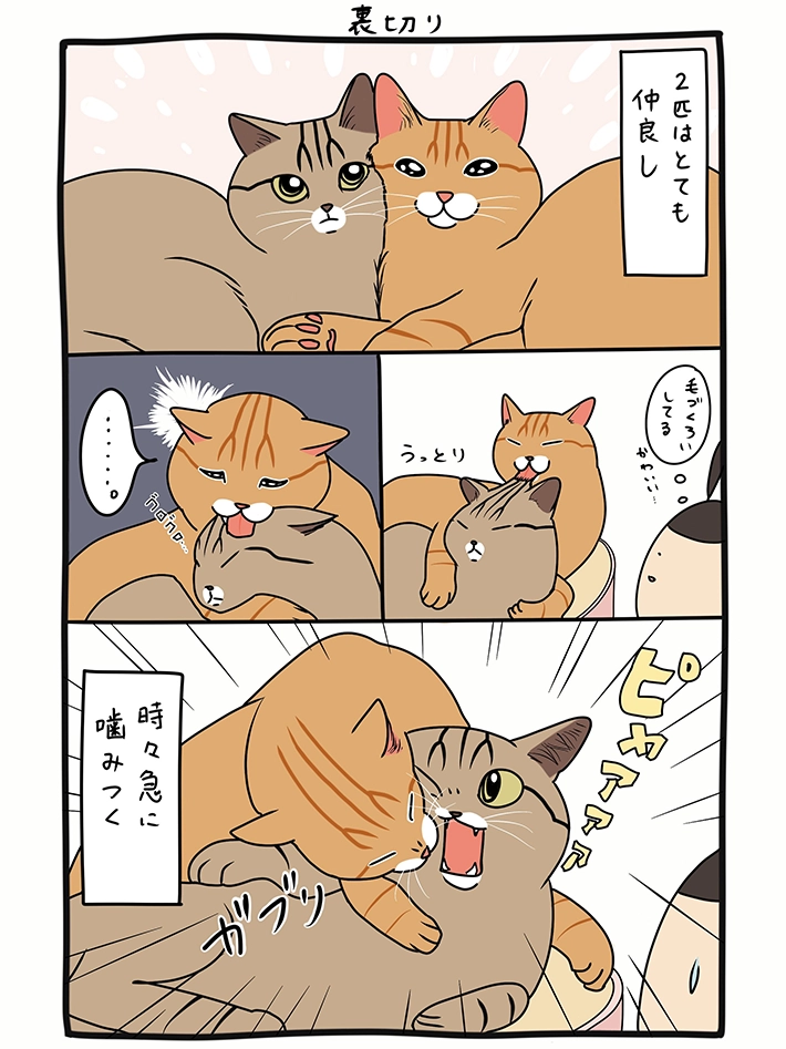 猫のシャオリーちゃん、ディオくんのエッセイ漫画画像