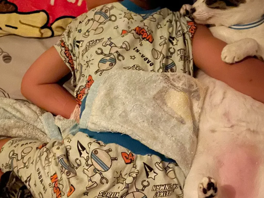 4歳児と猫の写真