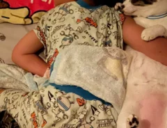 4歳児と猫の写真