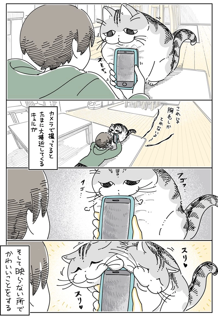 キュルZさんの漫画画像