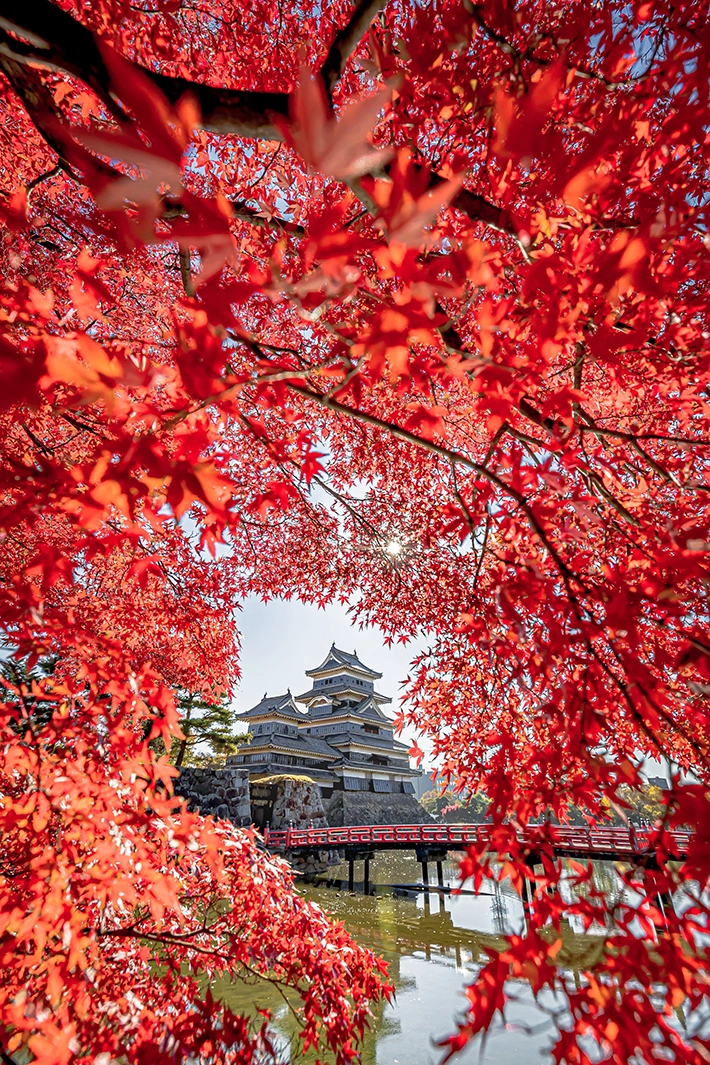 長野県松本市 松本城の画像