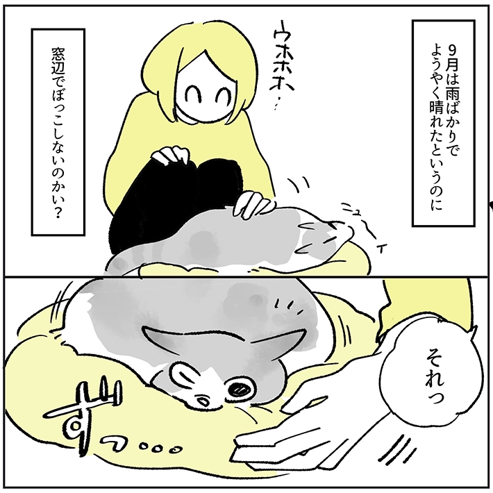 長谷川ろくさんの漫画画像